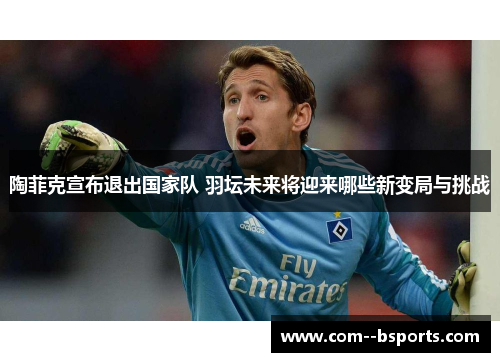 陶菲克宣布退出国家队 羽坛未来将迎来哪些新变局与挑战 陶菲克宣布退出国家队 羽坛未来将迎来哪些新变局与挑战