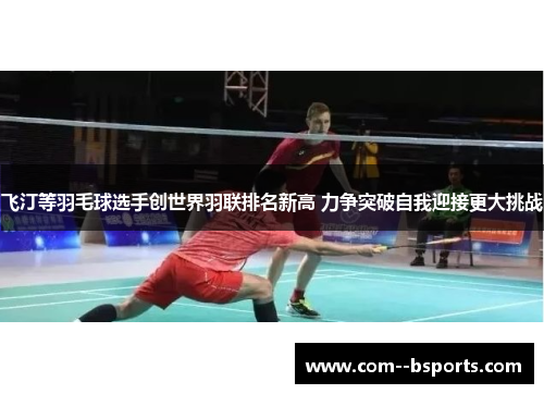 飞汀等羽毛球选手创世界羽联排名新高 力争突破自我迎接更大挑战